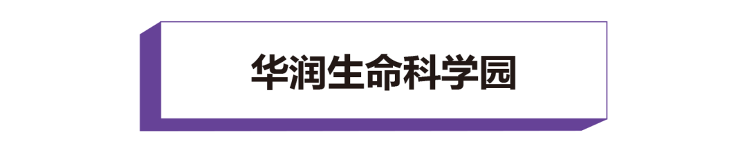 医药花园 | 华润生命科学园 景观设计-2