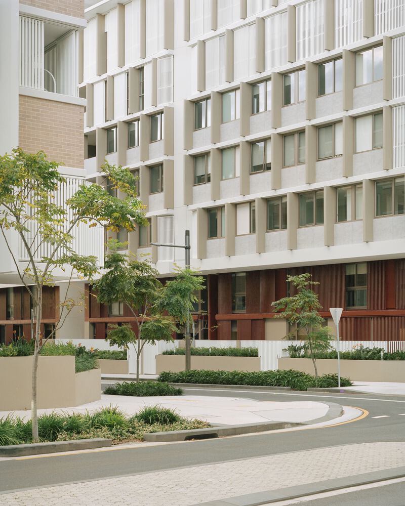 Botany Road 住宅区丨澳大利亚丨Candalepas Associates-33