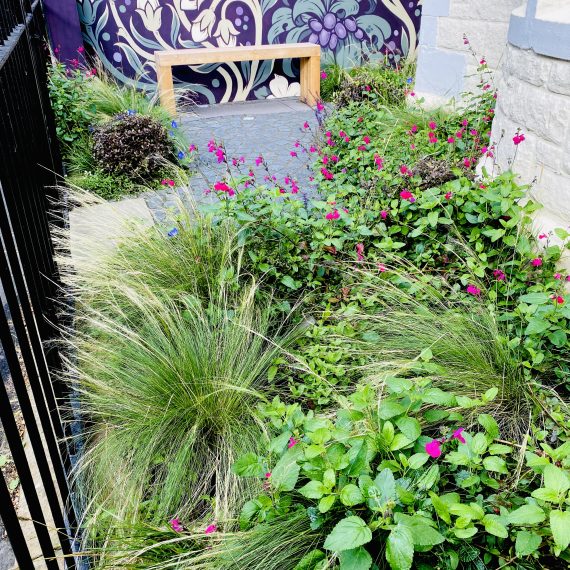 奥威尔村舍花园丨英国爱丁堡-17