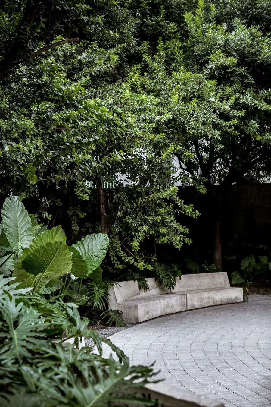 边界植物在景观设计中的妙用-23