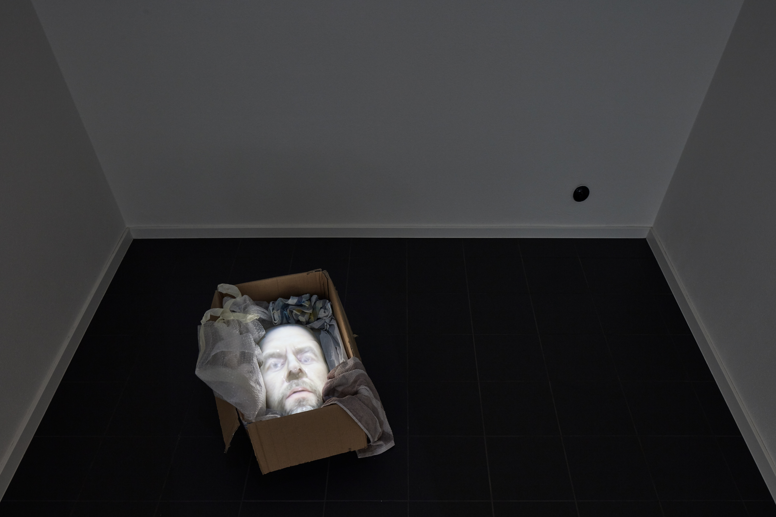 磷化镓，画廊和空间-20