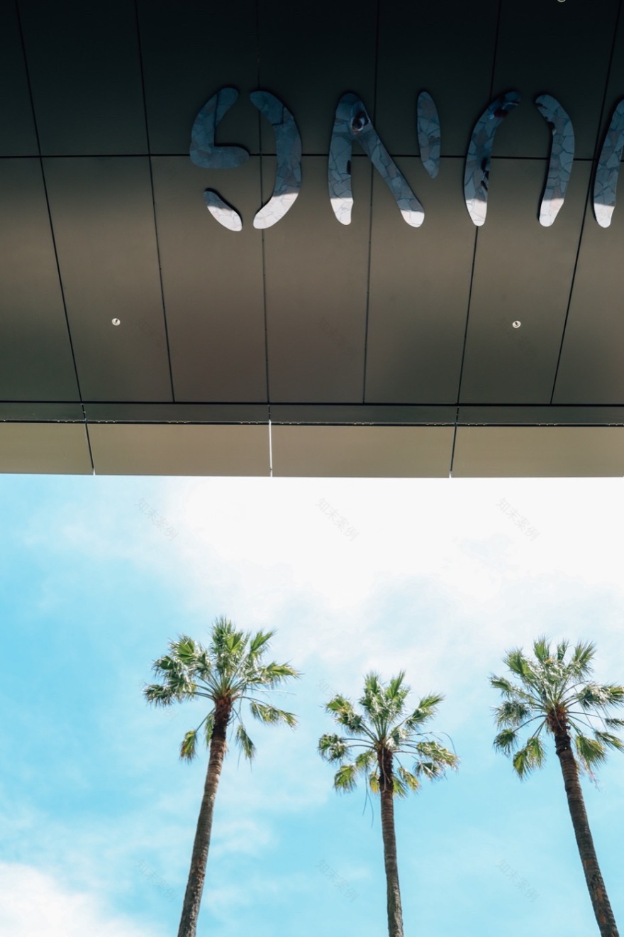 悉尼 St Leonards 健康组织迁址丨澳大利亚悉尼丨Arcadia Landscape Architecture-40