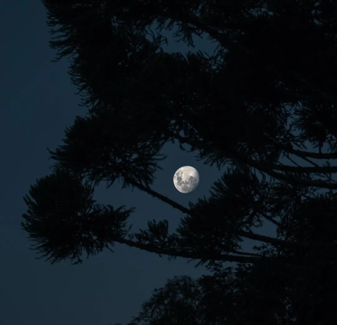 隐居漫亭酒店丨中国烟台丨吕邵苍设计-17
