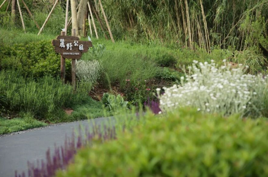 城市掌心的生态山野——麓野公园-240