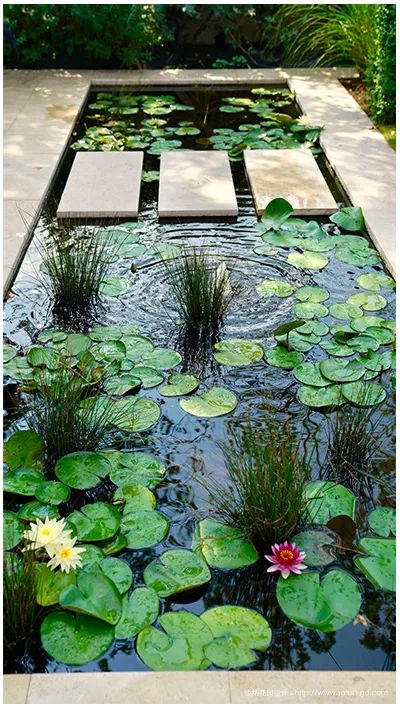 花园设计：如何设计建造一个英伦乡村花园-39