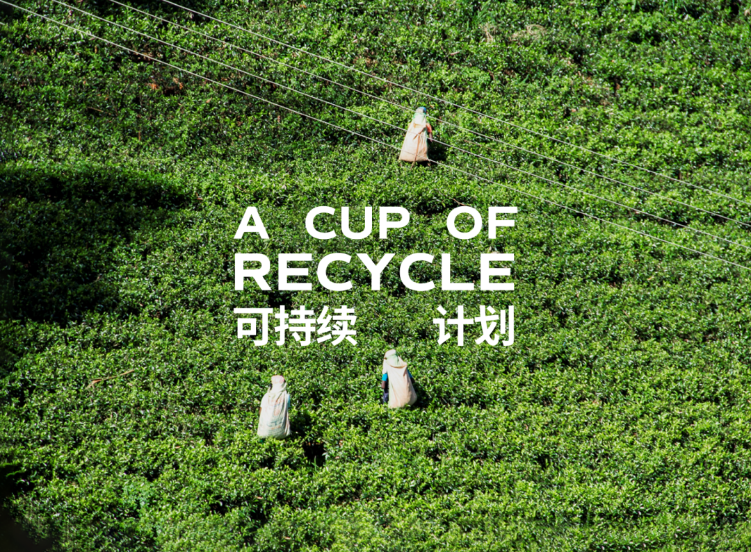 城憩茶宴 · 无杂 RAW TEA 深港双年展闪出丨中国深圳丨梅蘭工作室-43