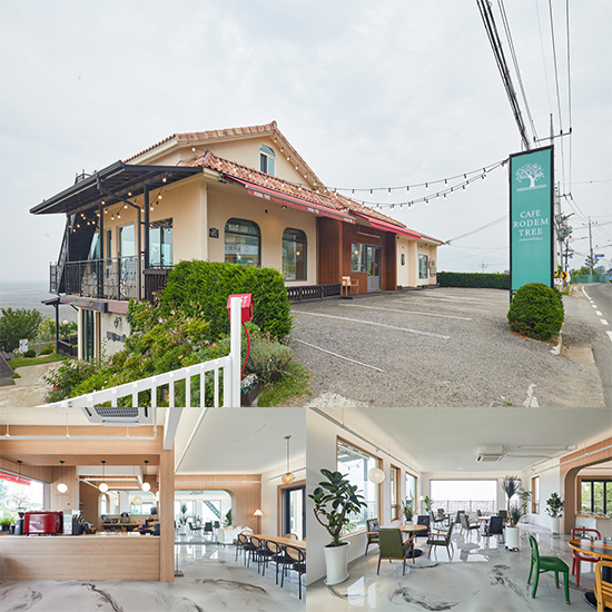 洛特里克咖啡馆 | 明亮的木质设计，展现极简魅力-1