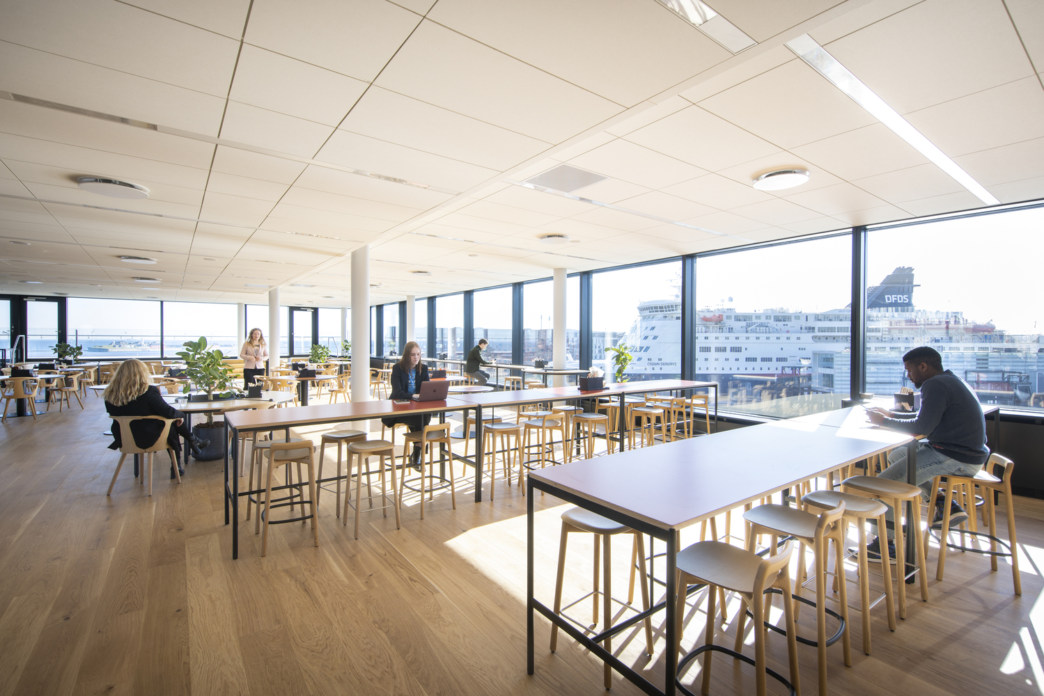 DFDS 全球总部丨丹麦哥本哈根丨PLH Arkitekter-29