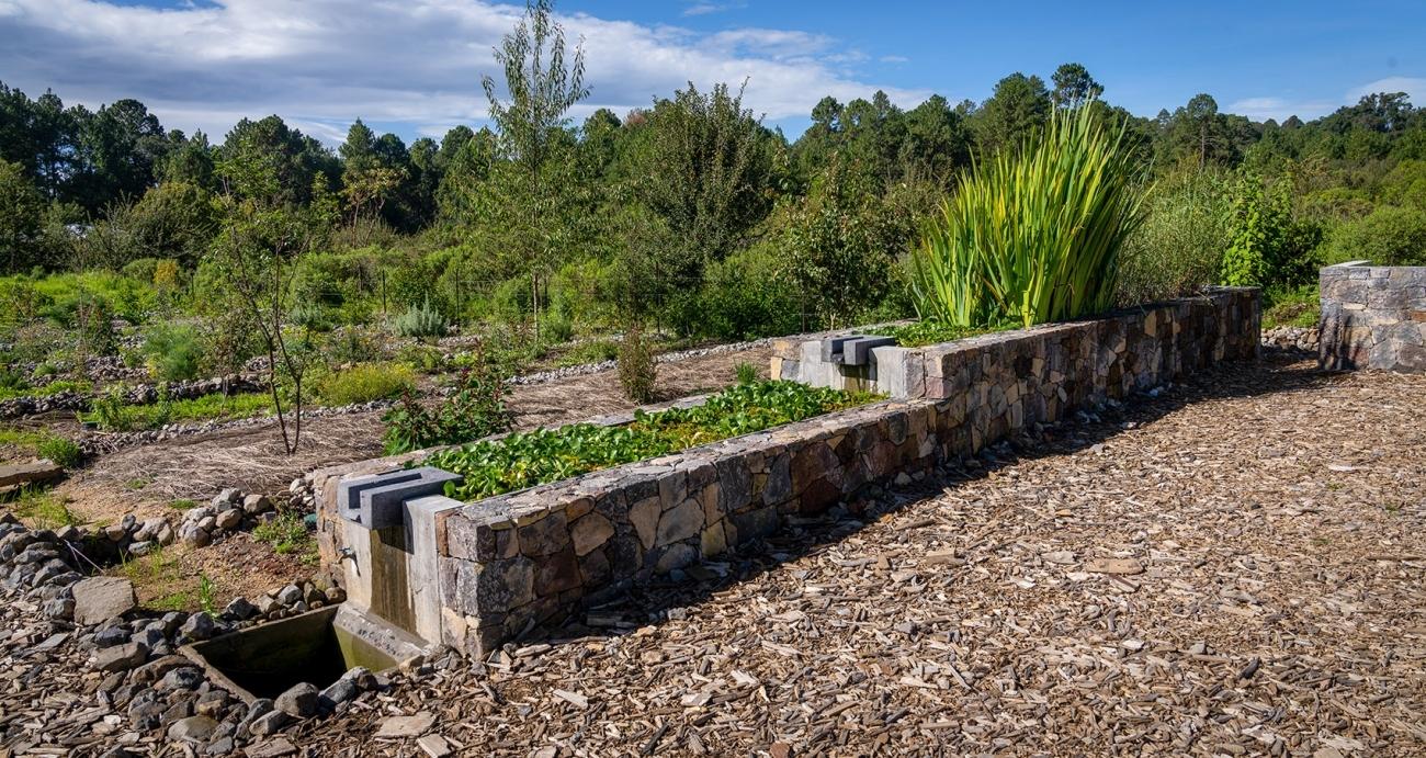 墨西哥雨水收集之家丨Robert Hutchison Architecture-41