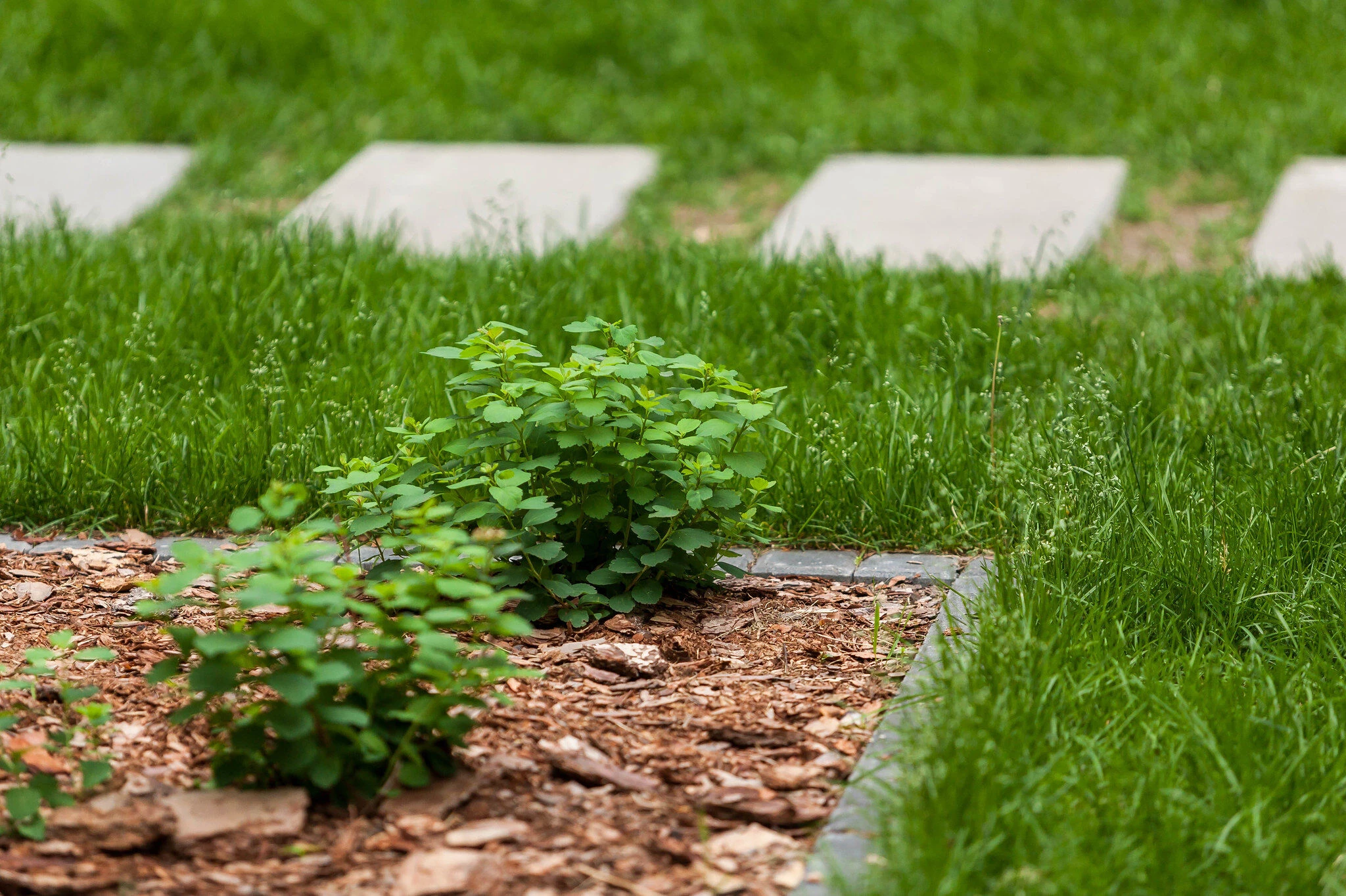 Sukhodolsky 公共公园和庭院丨俄罗斯丨LEVS architecten-56