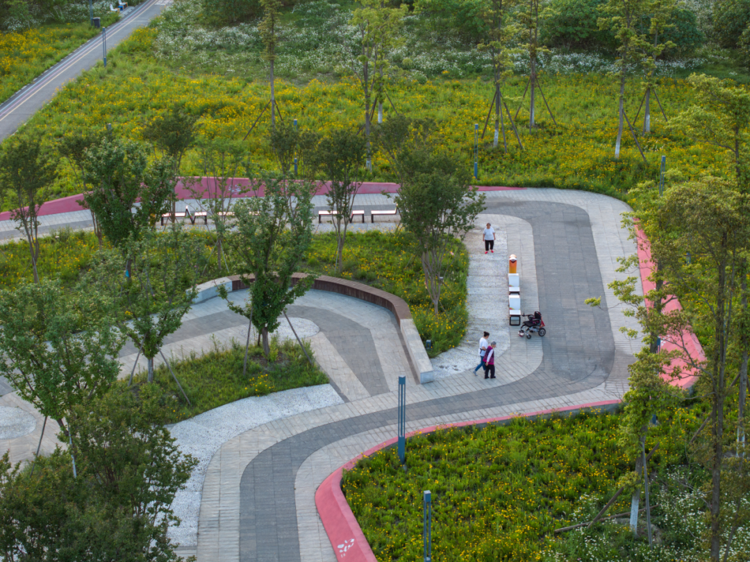 那条飘带 等你触碰：成都大运公园，BOXI柏熙标识丨中国成都丨上海柏熙标识有限公司-21