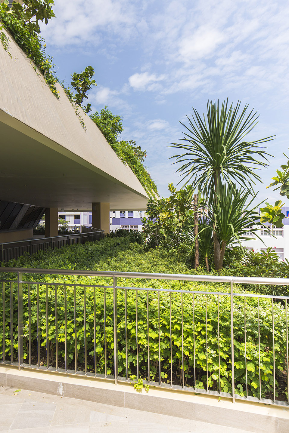 Heartbeat@Bedok大楼，新加坡 / ONG&ONG Pte Ltd-76