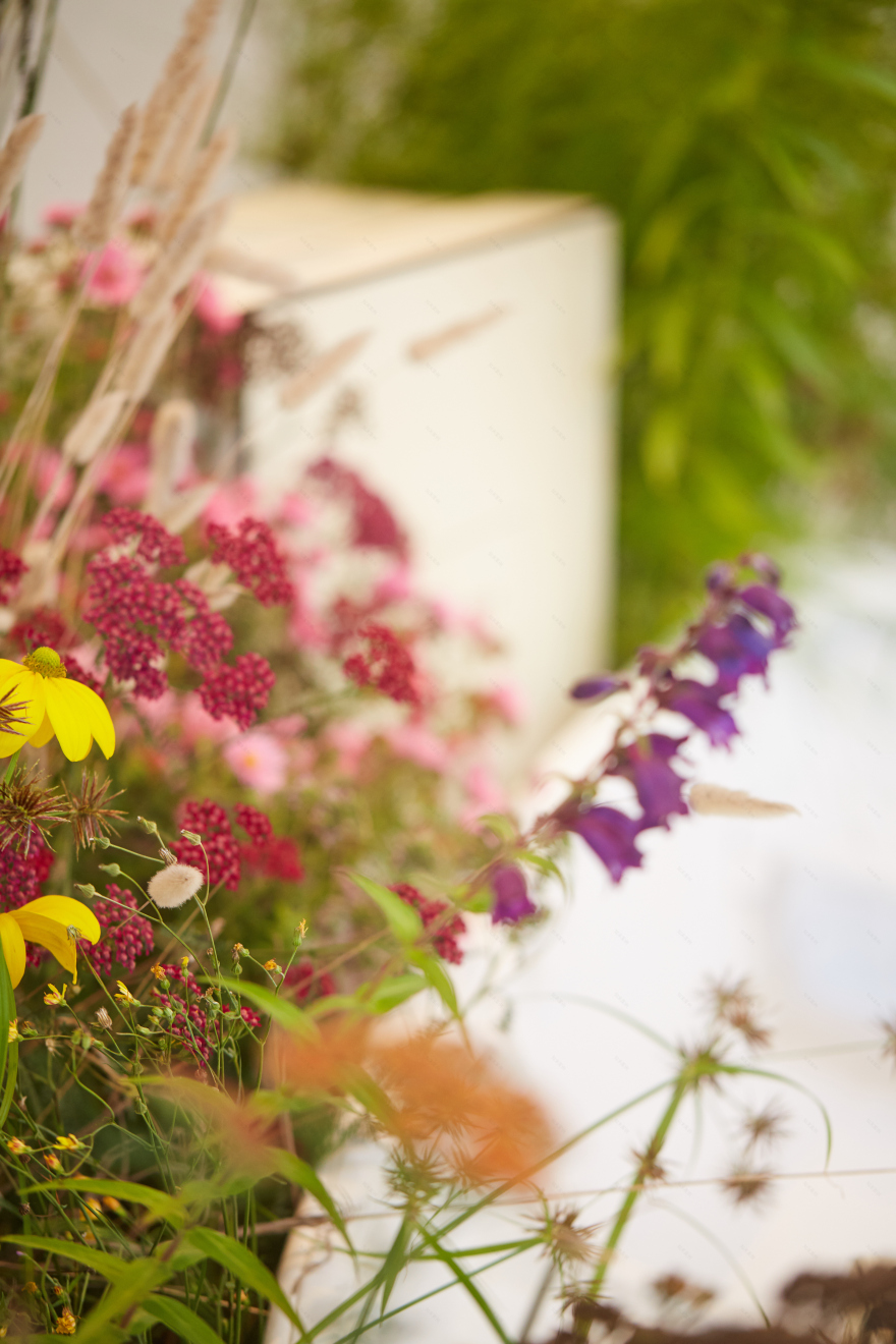 丨新西兰奥克兰丨Xanthe White Design-17