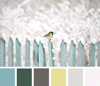 上海康贝佳口腔 | 现代简约风格的时尚温馨空间-10