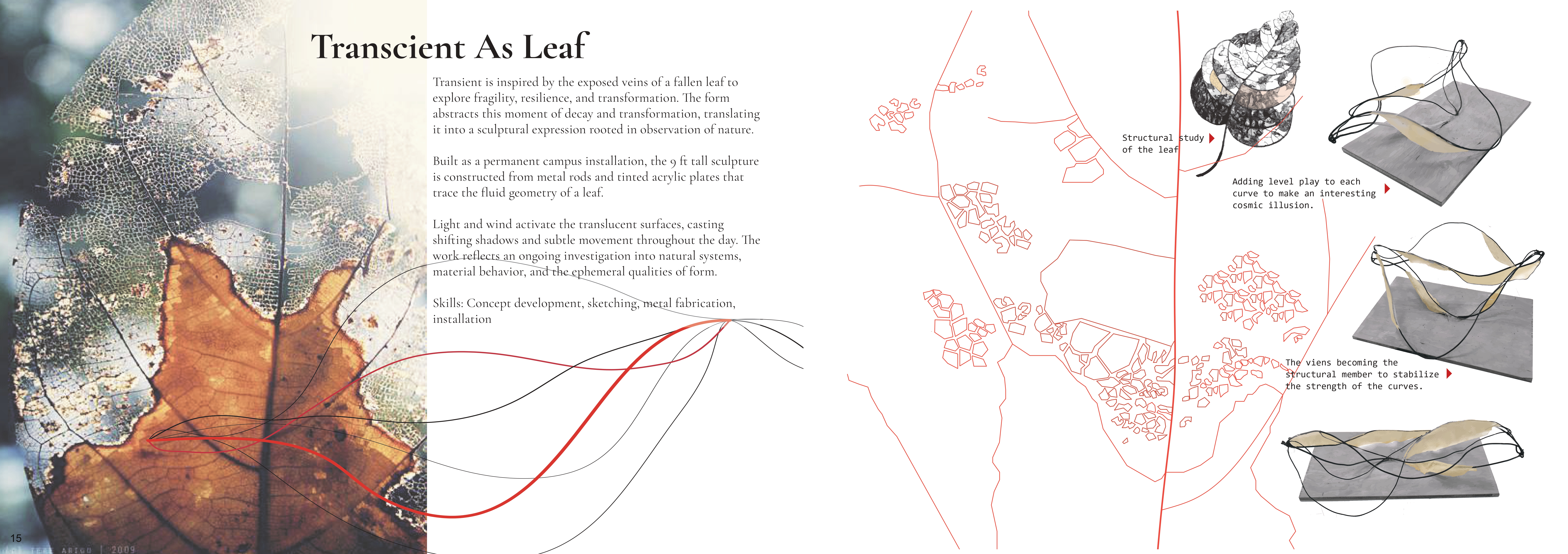 Lubaina Bhori Art Portfolio-18