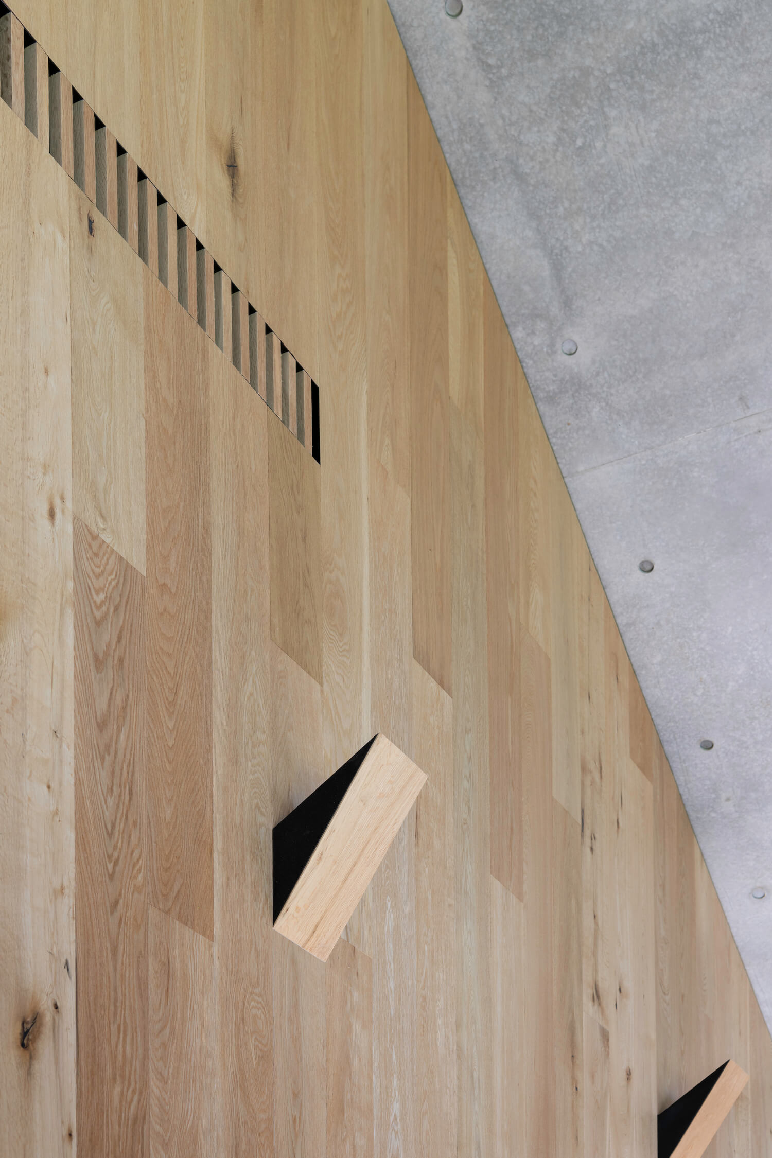 挤压房屋丨澳大利亚新南威尔士丨MCK Architects-33