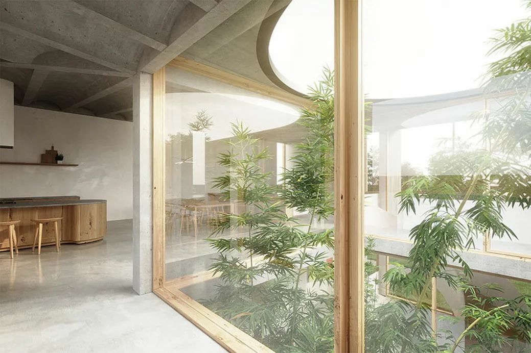 泰国“鸟巢住宅”丨The Collective Studio Co.,Ltd.-8