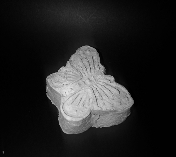 空间与自然元素-19