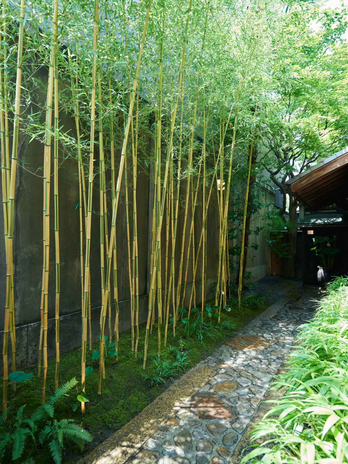 GUCCI Bamboo House | WORKS | BOTANICAL ARRANGEMENTS TSUBAKI-0