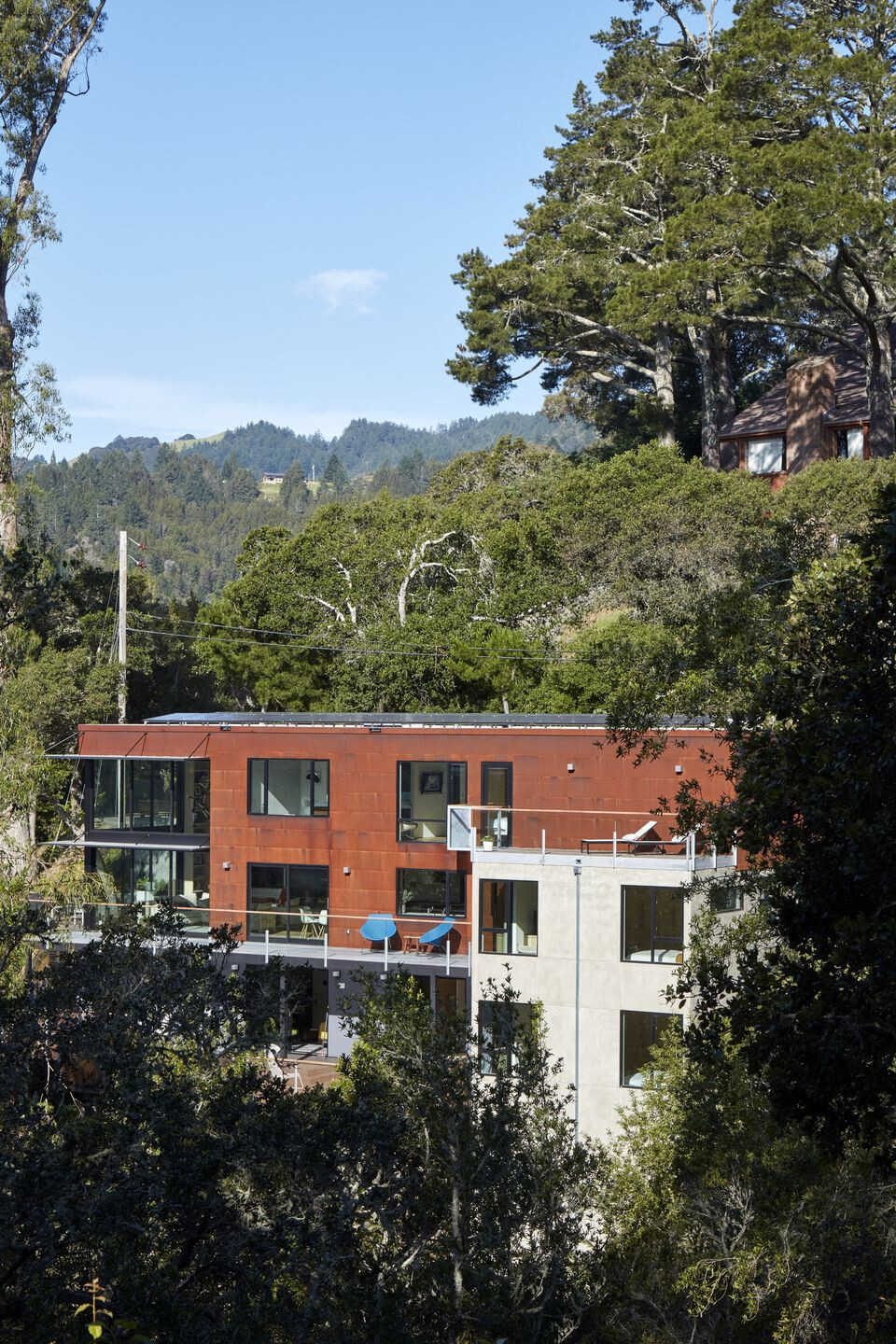 加州 Mill Valley 山间别墅-7