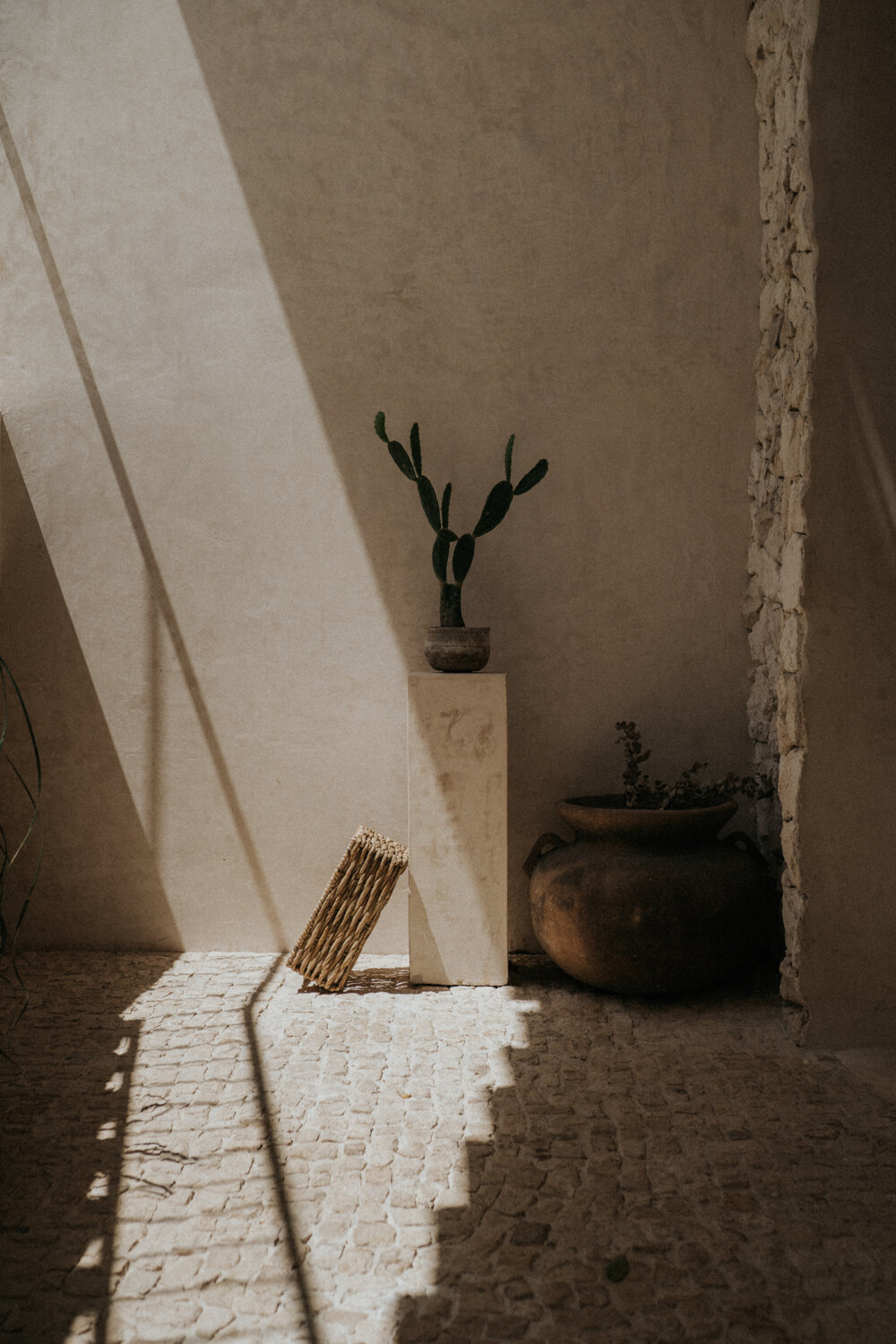 Fosil Tulum 住宅综合体丨墨西哥丨Terreo 工作室-17