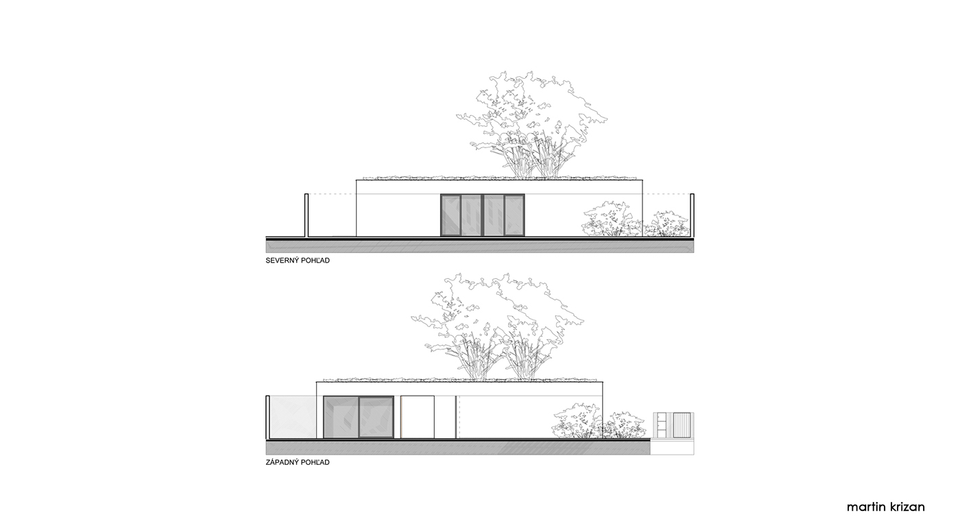 Anastasiya Gushchina丨庭院丨Atrium House-7
