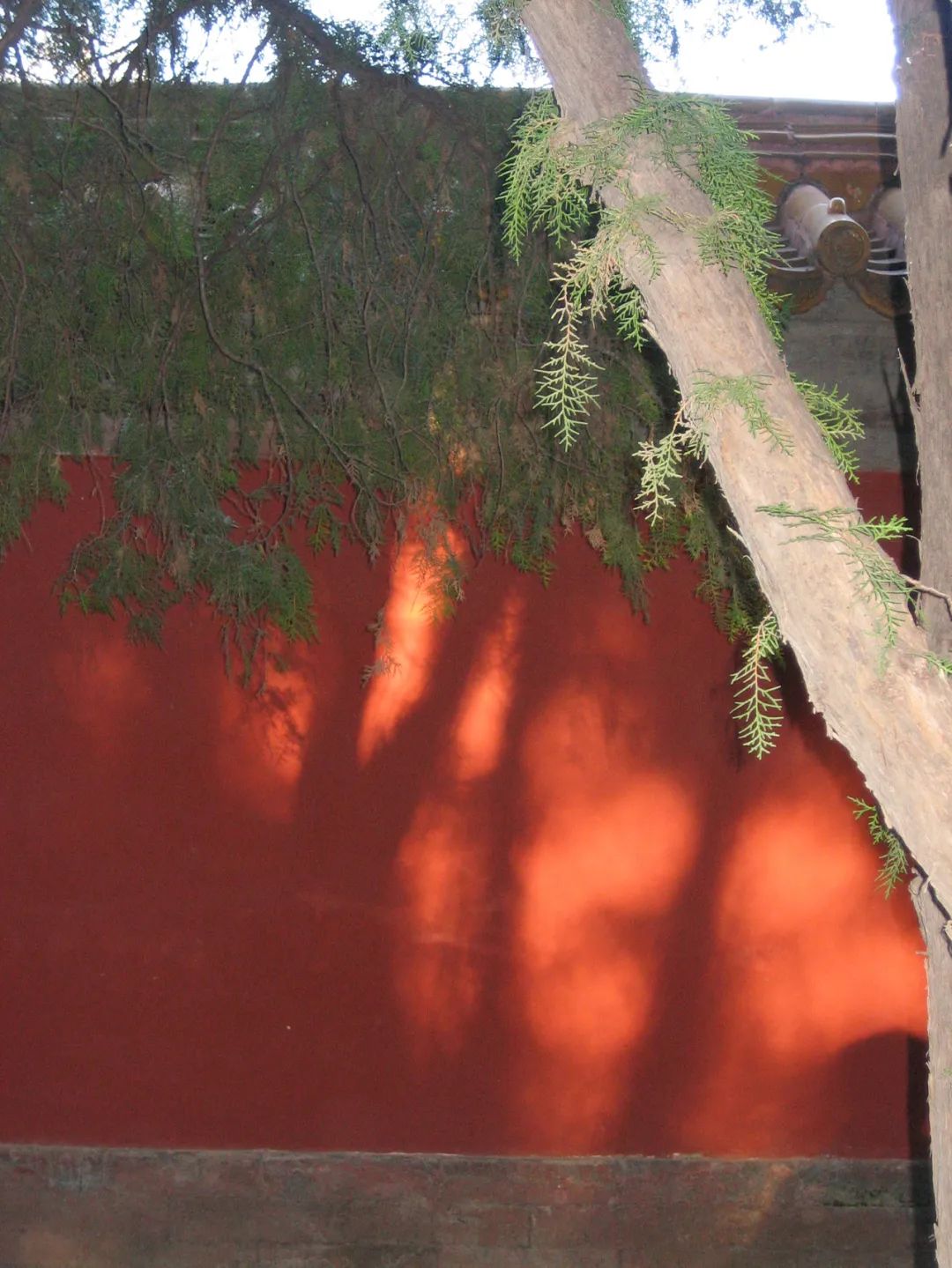 BoiEwan  局部北京-8