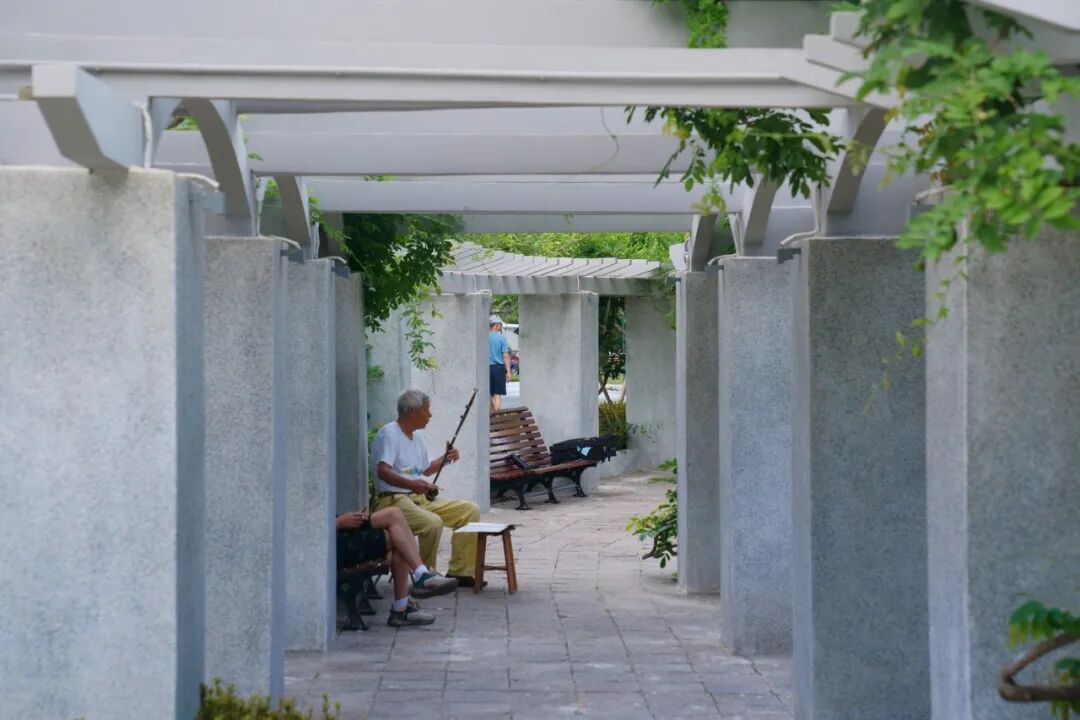 中国园林·理事专栏|“拓”之力量:杨浦公园改造纪实(三)-286