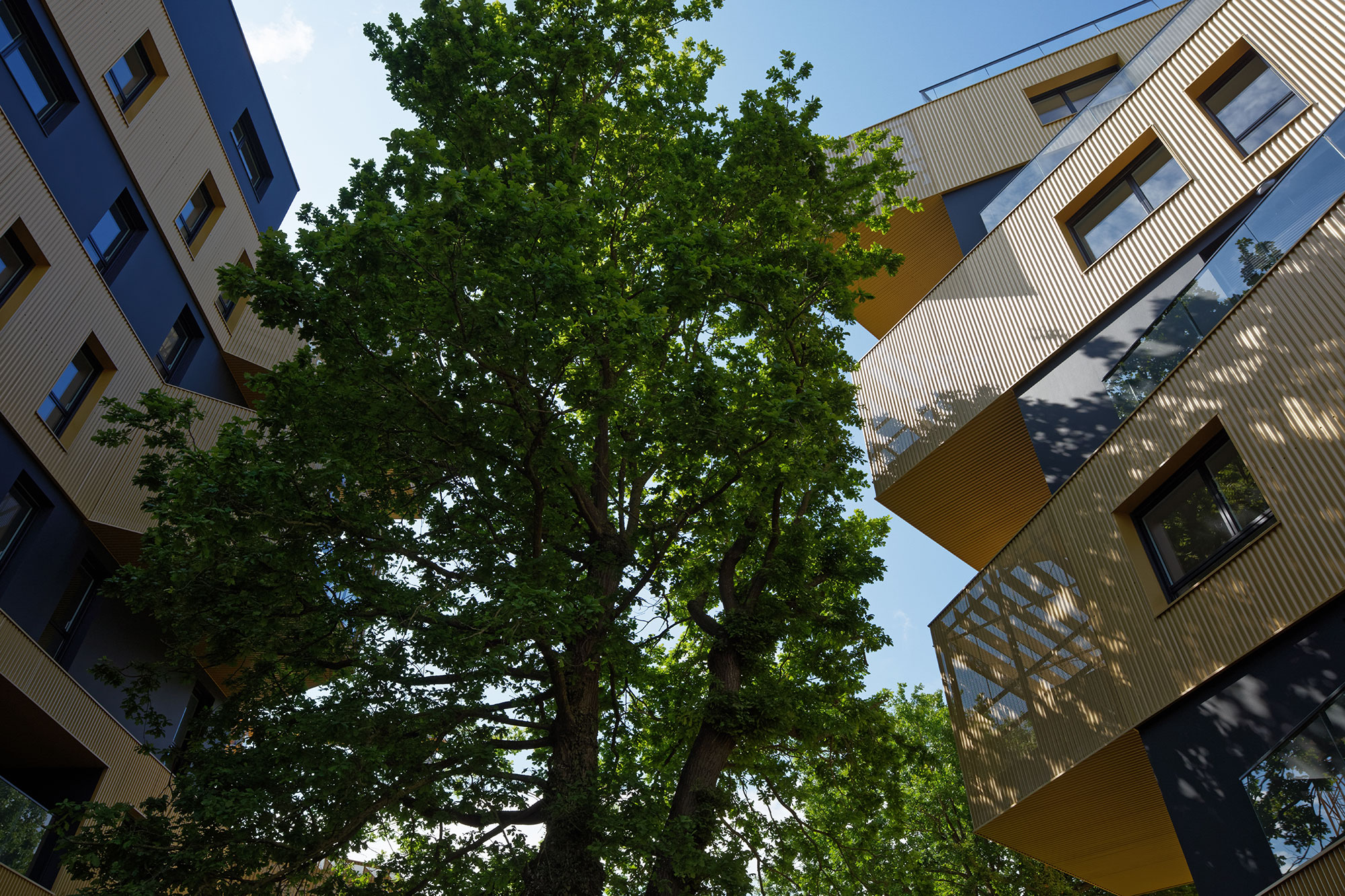 LEquatoriaLogements 公寓建筑——黄金立面与树共生的立体社区-28