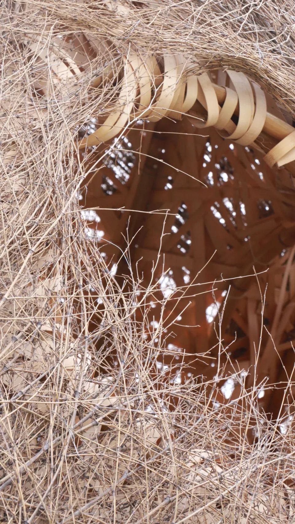 《森之秘语》 | 竹构树洞，寻觅心灵秘境-43