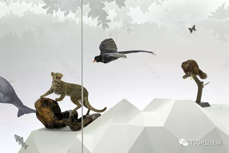 台湾最美博物馆 | 惠柏设计-22