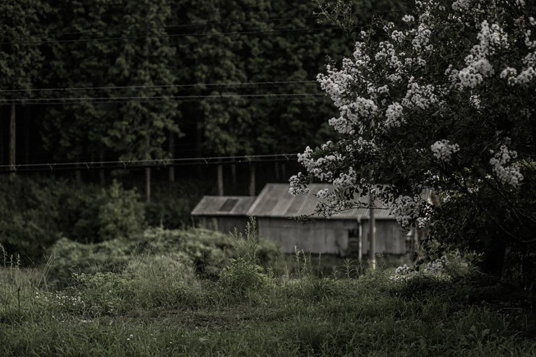 清水昂喜工作室丨日本爱知-12