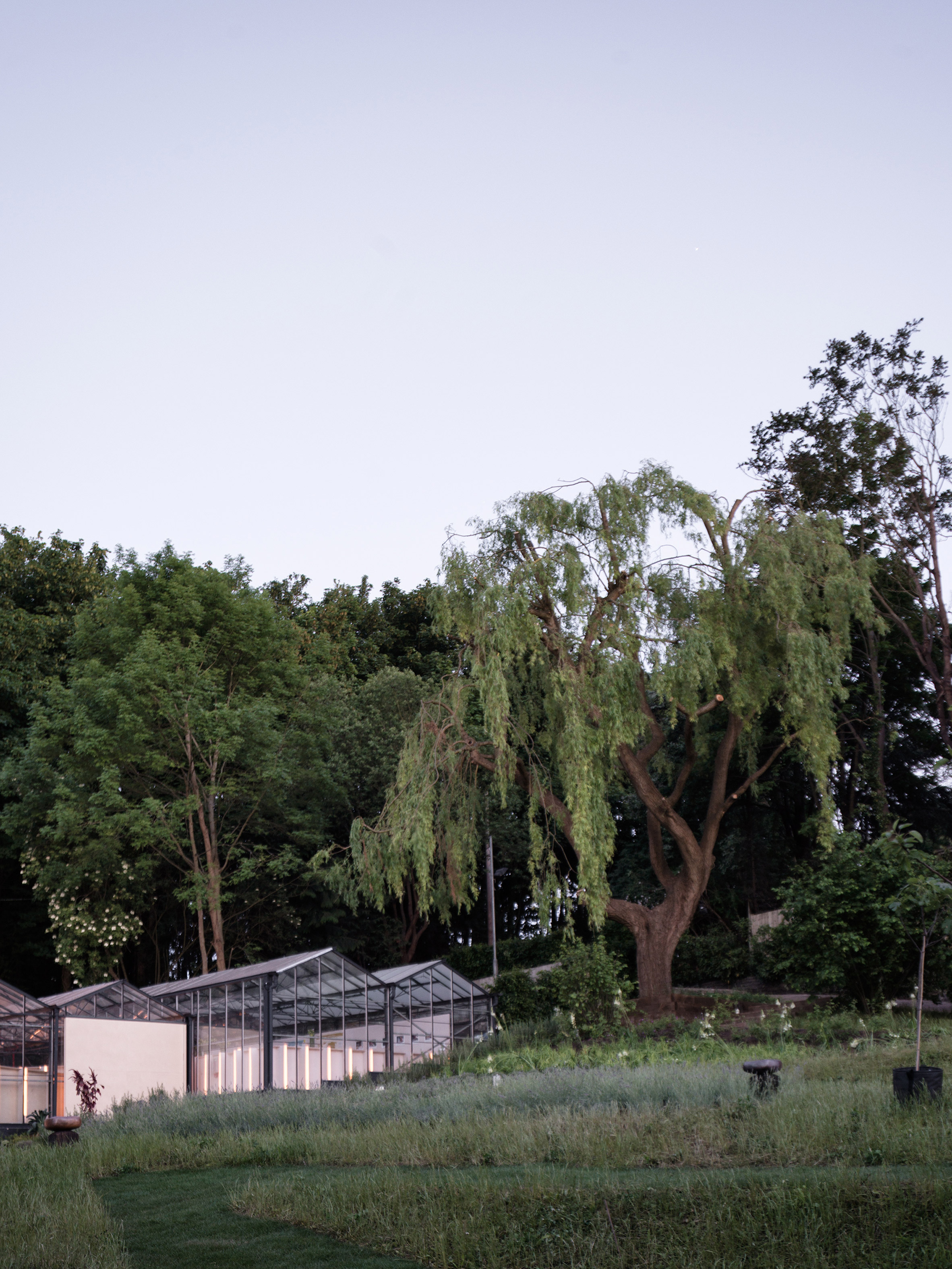 HASA Architects converts derelict glasshouses into events space in Highgate-20