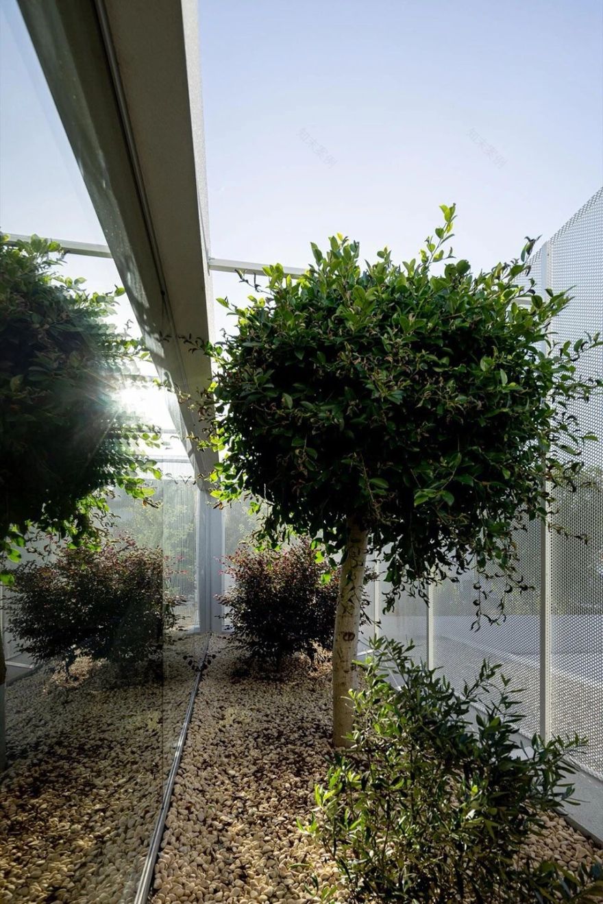 以自然采光与户外空间为核心 极简白色住宅 Arquitetura501-102