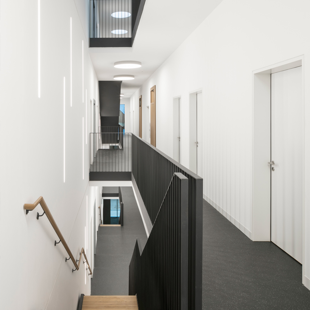 黑 façade 的集成感染疾病研究中心(CIID)-11