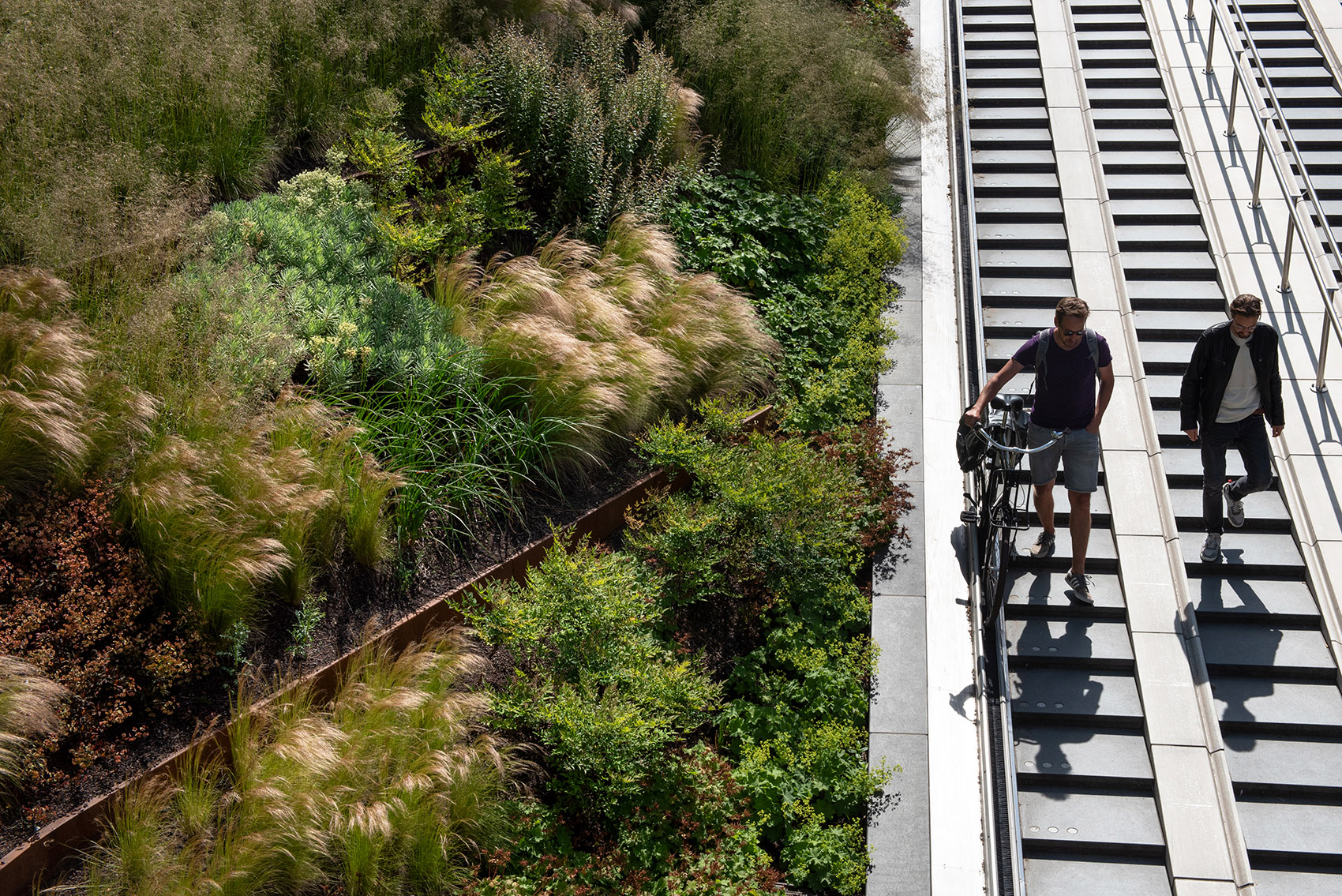 兹沃勒地下自行车停车场入口丨荷兰兹沃勒丨PosadMaxwan-20