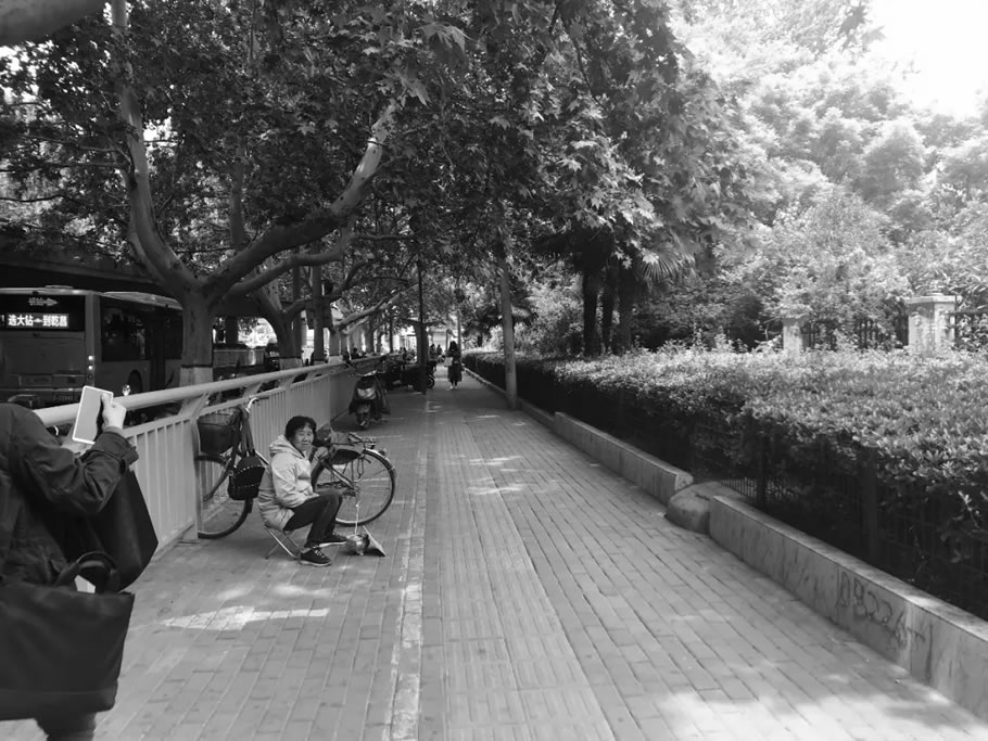 郑州人民公园“拆墙透绿”打造城园一体空间丨中国郑州-15