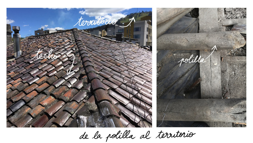 厄瓜多尔高地住宅屋顶改造-43