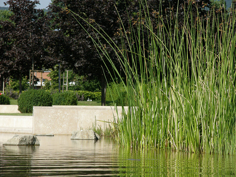 布达佩斯 Graphisoft 公园景观设计丨匈牙利布达佩斯-11