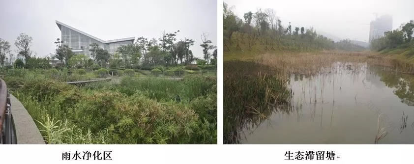 长沙梅溪湖国际新城 | 绿色生态水环境规划与整治-26