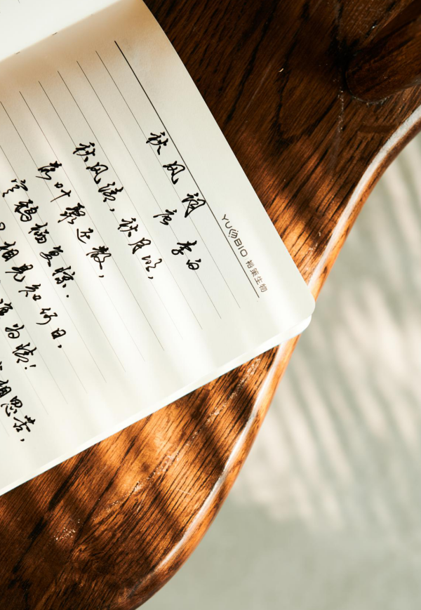 雷刚室内设计师丨平层丨画中人-14