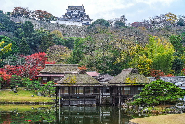 玄宮楽々園（含玄宮園,楽々園,彦根城）-25