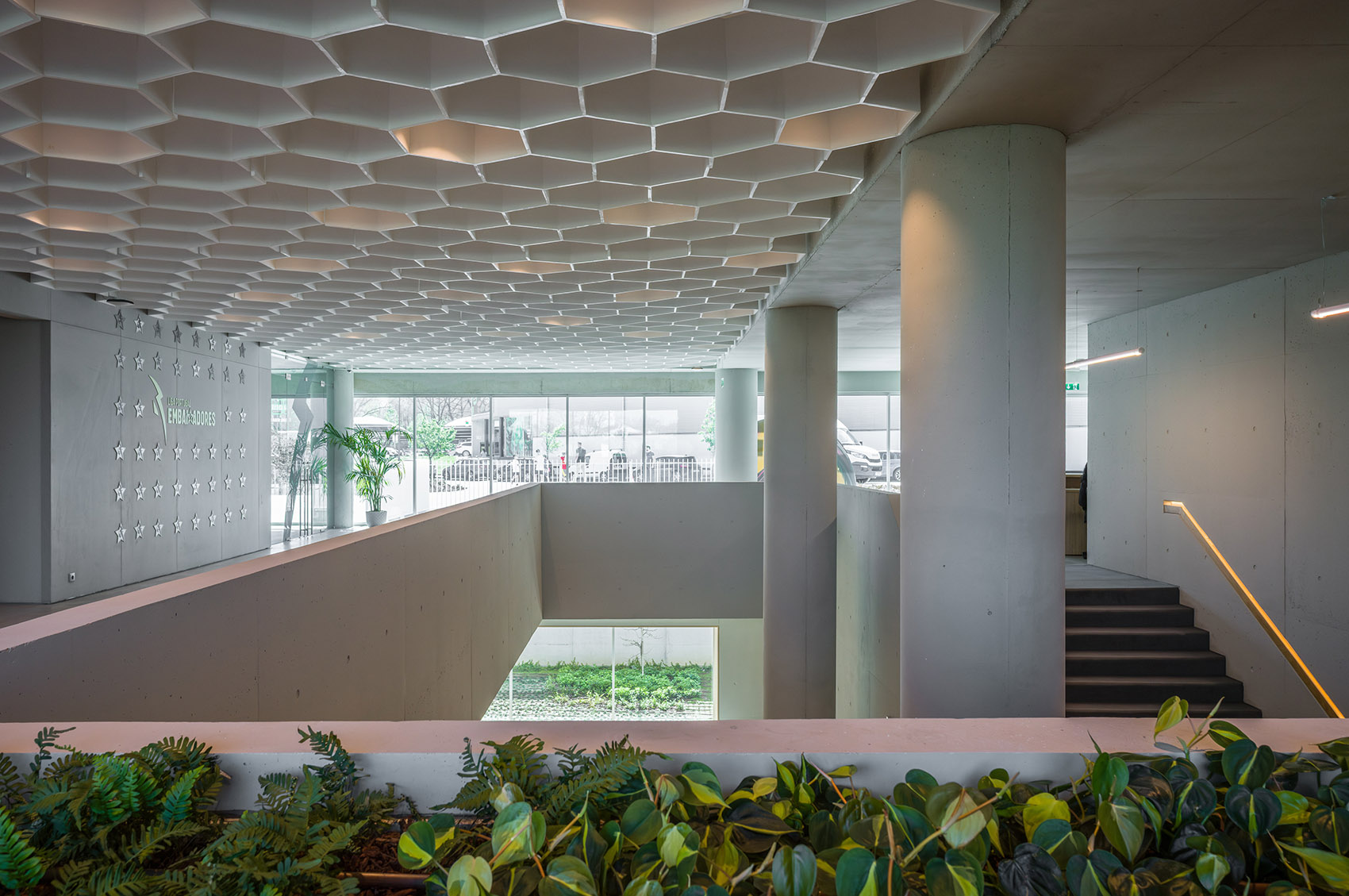 葡萄牙足球联盟新总部丨OODA-29