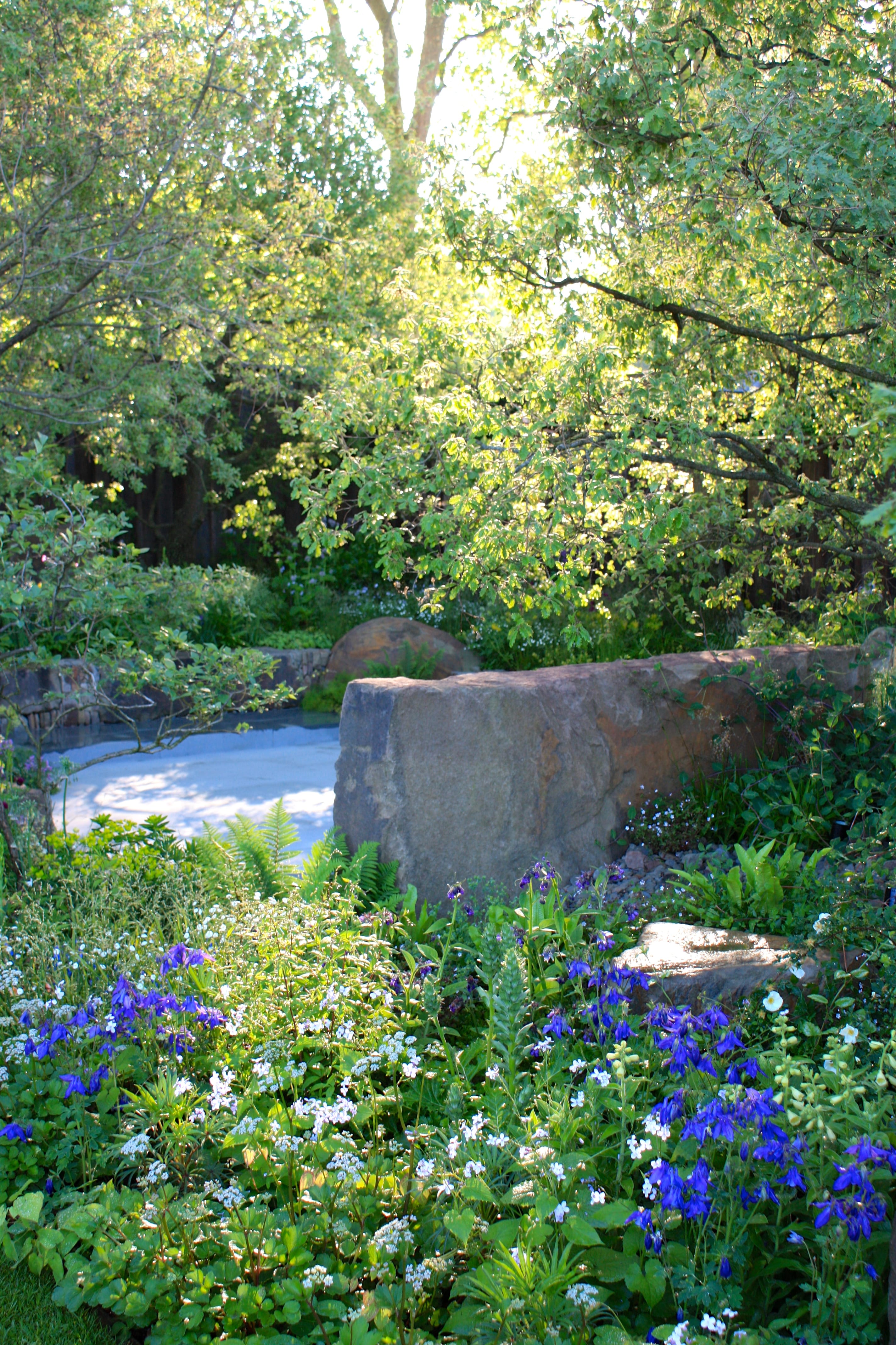 橡树林的回忆 | Cleve West 的 M&G 花园-26