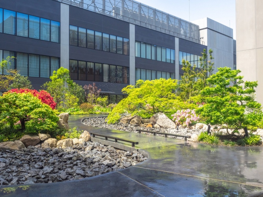 横滨 HAMMERHEAD 码头酒店丨日本丨株式会社户田芳树风景计画-18