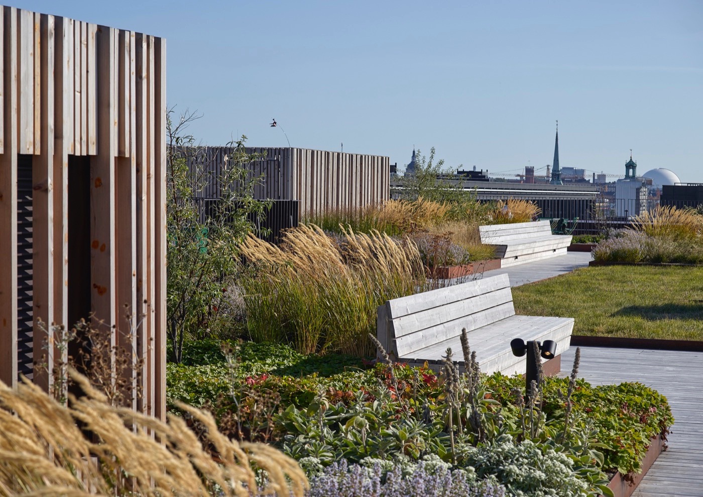 斯德哥尔摩绿色屋顶建筑塞尔格尔豪森丨瑞典斯德哥尔摩丨Karavan-14