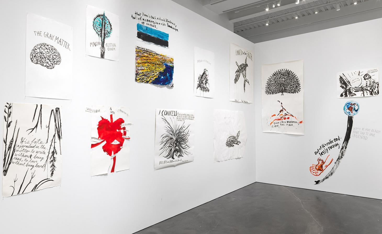 纽约新博物馆呈现雷蒙德·佩蒂本艺术盛宴-26