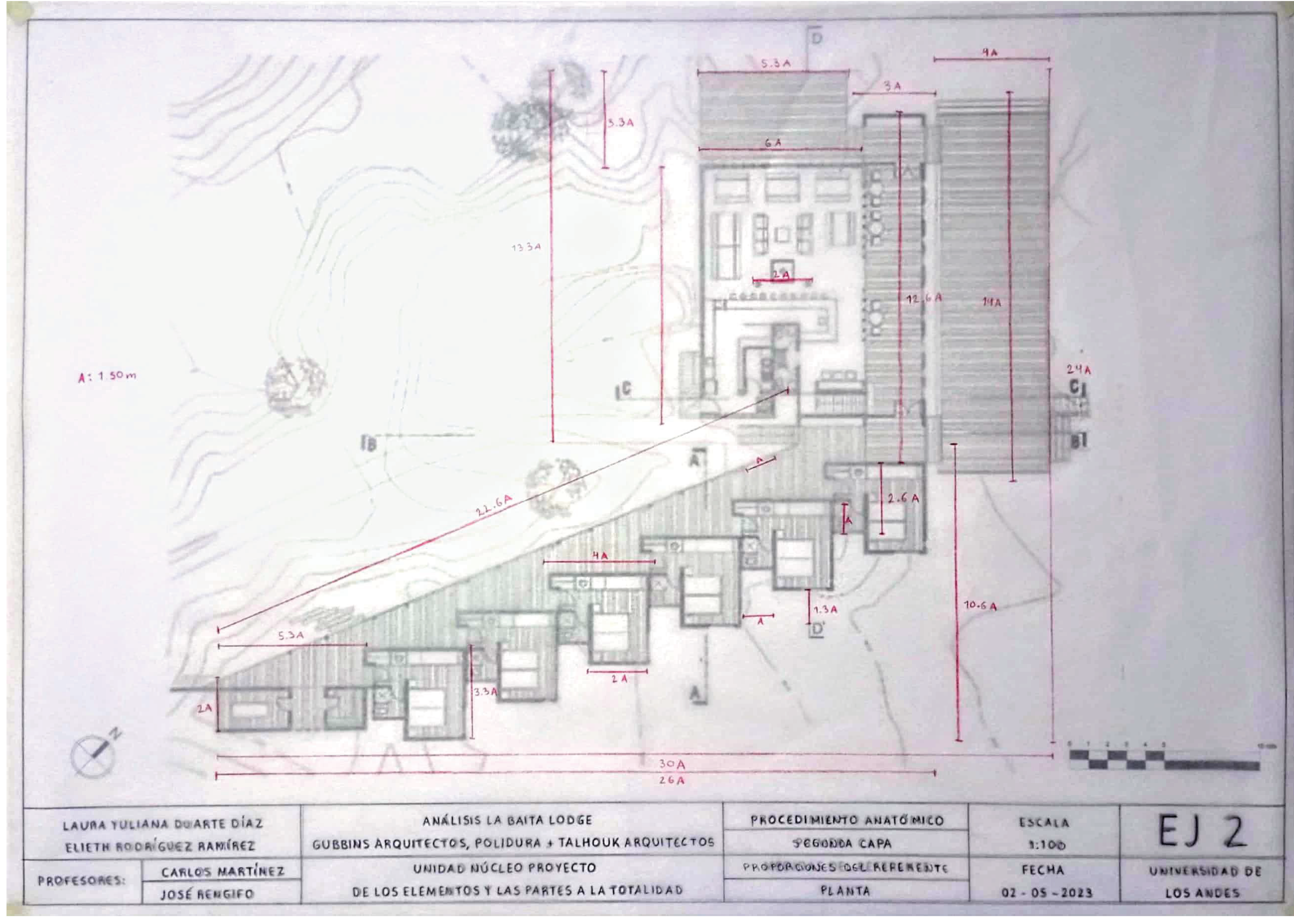 ARQT 2101 - Procedimiento anatómico 2-3