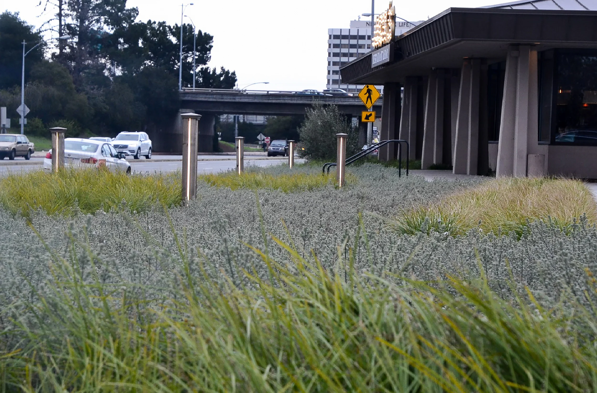 JACKS RESTAURANT — Studio Green-1