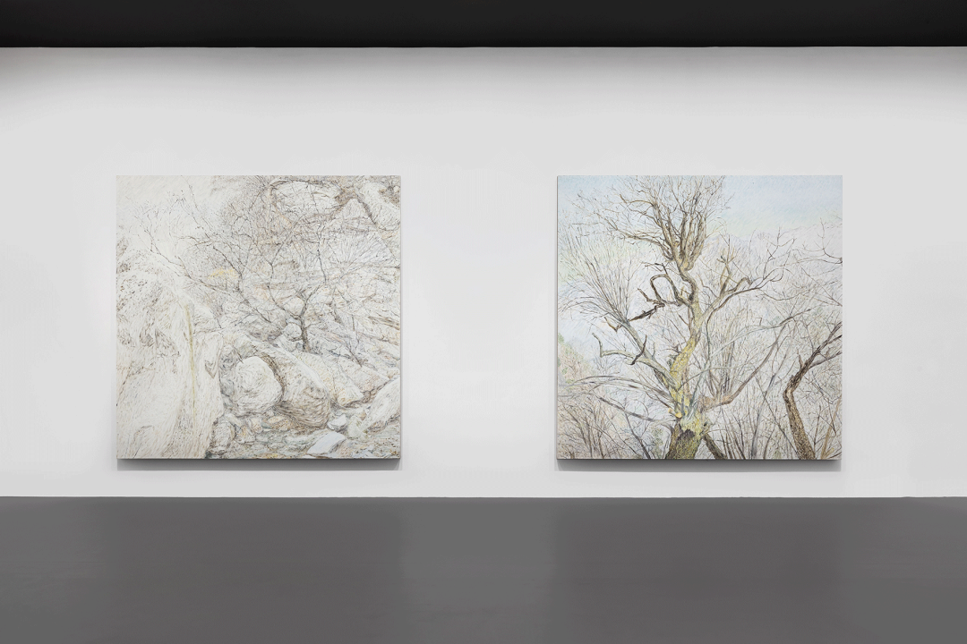 《空谷幽兰》· 欧阳春的终南山艺术之旅丨中国北京丨空白空间-20